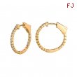 1 Pointer hoop earrings/patented snap lock