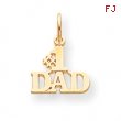 10k #1 Dad Charm