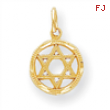 10k STAR OF DAVID CHARM