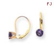 14k 5mm Amethyst leverback earring