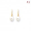 14k 5mm Pearl Leverback Earrings