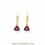 14k 5mm Rhodalite Garnet leverback earring