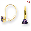 14k 5mm Trillion Amethyst leverback earring