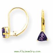 14k 5mm Trillion Amethyst leverback earring