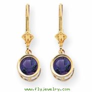 14k 6mm Amethyst leverback earring