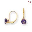 14k 6mm Amethyst leverback earring