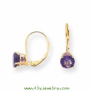 14k 6mm Amethyst leverback earring