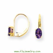 14k 6x4mm Oval Amethyst leverback earring