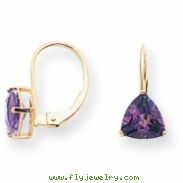 14k 7mm Trillion Amethyst leverback earring