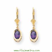 14k 7x5mm Oval Amethyst leverback earring