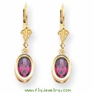 14k 7x5mm Oval Rhodalite Garnet leverback earring