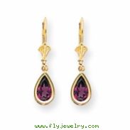 14k 8x5mm Pear Rhodalite Garnet leverback earring