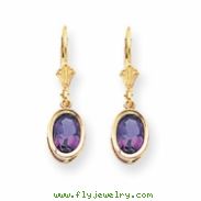 14k 8x6mm Oval Amethyst leverback earring