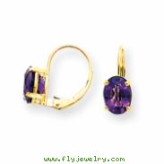 14k 8x6mm Oval Amethyst leverback earring