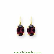 14k 8x6mm Oval Rhodalite Garnet leverback earring