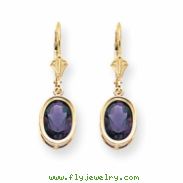 14k 9x7mm Oval Amethyst leverback earring