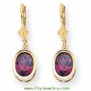 14k 9x7mm Oval Rhodalite Garnet leverback earring