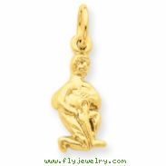 14k Aquarius Zodiac Charm