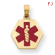 14k Enameled Medical Disk Pendant