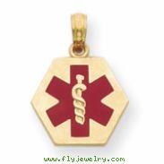 14k Enameled Medical Disk Pendant