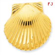 14k Fits up to 10mm & 8mm Medium Scallop Shell Slide