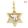 14K Gold & Rhodium Mesh Star Of David with Chai Pendant