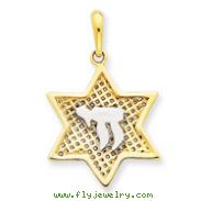 14K Gold & Rhodium Mesh Star Of David with Chai Pendant