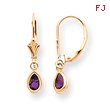 14K Gold Amethyst Earrings - February