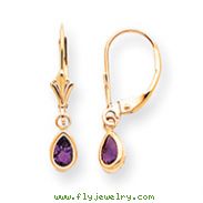 14K Gold Amethyst Earrings - February