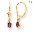 14K Gold Amethyst Earrings - February