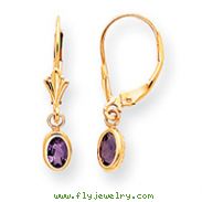 14K Gold Amethyst Earrings - February