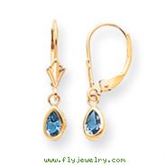 14K Gold Blue topaz Earrings - December