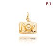 14K Gold Camera Charm