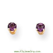 14K Gold February Amethyst Post Earrings