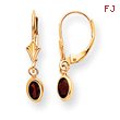 14K Gold Garnet Earrings - January