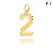 14K Gold Large Diamond-Cut Number 2 Charm