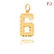 14K Gold Large Diamond-Cut Number 6 Charm