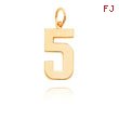 14K Gold Large Polished Number 5 Charm