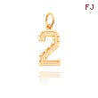 14K Gold Medium Diamond-Cut Number 2 Charm