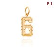 14K Gold Medium Diamond-Cut Number 6 Charm