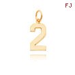 14K Gold Medium Polished Number 2 Charm