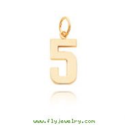 14K Gold Medium Polished Number 5 Charm