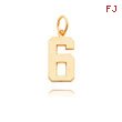 14K Gold Medium Polished Number 6 Charm