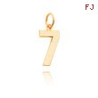 14K Gold Medium Polished Number 7 Charm