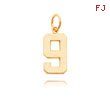 14K Gold Medium Polished Number 9 Charm