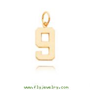 14K Gold Medium Polished Number 9 Charm