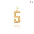 14K Gold Medium Satin Number 5 Charm