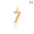 14K Gold Medium Satin Number 7 Charm