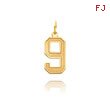 14K Gold Medium Satin Number 9 Charm