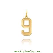 14K Gold Medium Satin Number 9 Charm
